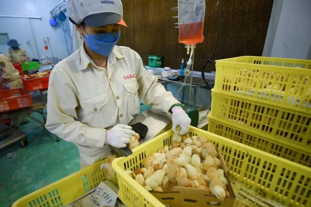 Bỏ Thủ Tục Hành Chính: Cải Cách Nông Nghiệp Hiệu Quả