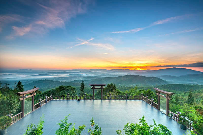 Tour Trải Nghiệm Bảo Lộc: Xoa Dịu Tâm Hồn Giữa Thiên Nhiên