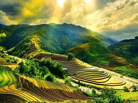 Du lịch Việt Nam: Vẻ Đẹp Bất Tận & Trải Nghiệm Khó Quên