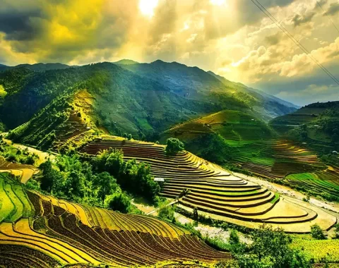 Du lịch Việt Nam: Vẻ Đẹp Bất Tận & Trải Nghiệm Khó Quên