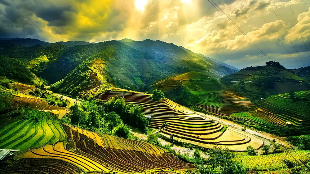 Du lịch Việt Nam: Vẻ Đẹp Bất Tận & Trải Nghiệm Khó Quên
