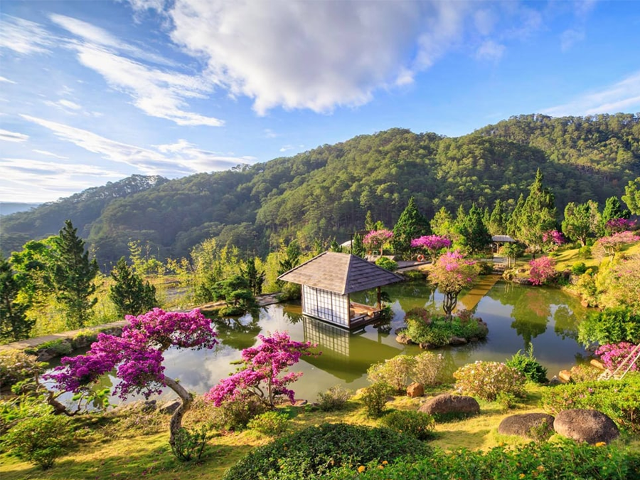 Tour Đà Lạt Trọn Gói: Trải Nghiệm Nghỉ Dưỡng Hoàn Hảo